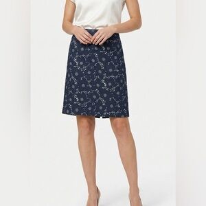 ANN TAYLOR LOFT Silk / Cotton Blend Fully Lined A-Line Knee Length Skirt US Sz 4